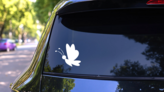 Cute Butterfly With Large Body on a Rear Car Window (New) example