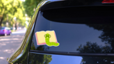 Cute Cartoon Bookworm With Glasses Sticker on a Rear Car Window (New) example