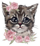 Cute Cat In Rose Flowers Sticker