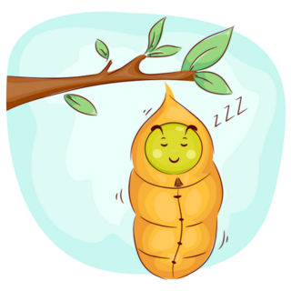 Cute Caterpillar Sleeping In Its Cocoon Sticker