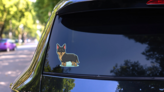 Cute Cattle Dog Blue Sticker on a Rear Car Window (New) example