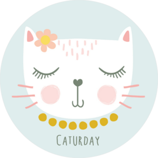 Cute Caturday Cat Sticker