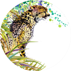 Cute Cheetah. Watercolor Illustration Sticker
