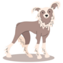 Cute Chinese Crested Sticker