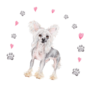 Cute Chinese Crested Sticker