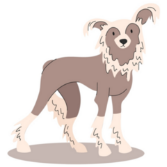 Cute Chinese Crested Sticker
