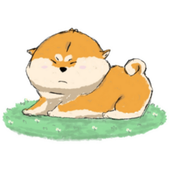 Cute Chubby Shiba Sticker