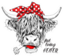 Cute Cow Not Today Heifer Sticker