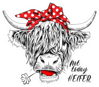 Cute Cow Not Today Heifer Sticker