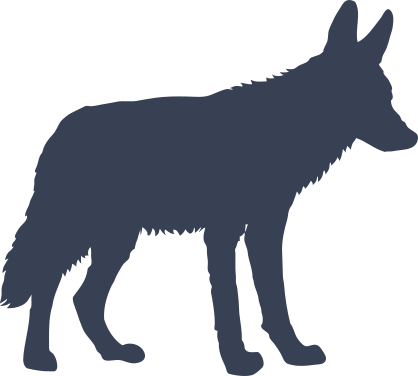Cute Coyote Sticker