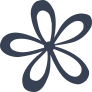Cute Daisy Flower Sticker