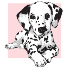 Cute Dalmatian Pink Square Sticker