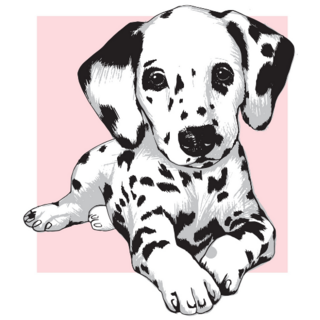 Cute Dalmatian Pink Square Sticker
