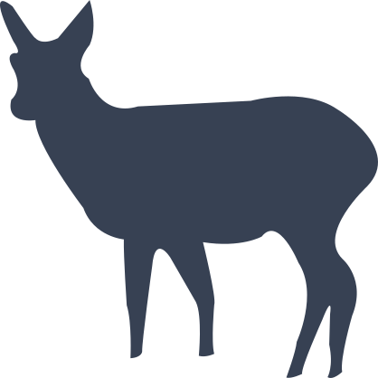 Cute Deer Sticker