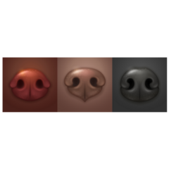 Cute Dog Noses Sticker