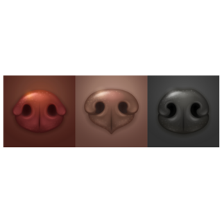 Cute Dog Noses Sticker