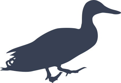 Cute Duck Silhouette Sticker