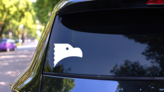 Cute Eagle Head Sticker on a Rear Car Window (New) example
