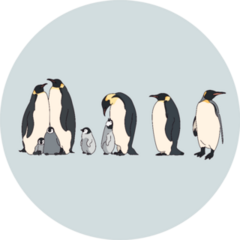 Cute Emperor Penguins Realistic Drawing Illustration Sticker