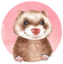 Cute Ferret Pink Watercolor Illustration Sticker