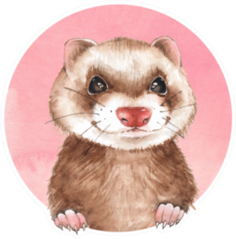 Cute Ferret Pink Watercolor Illustration Sticker