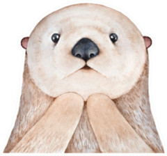 Cute Fluffy Little Sea Otter Sticker