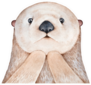 Cute Fluffy Little Sea Otter Sticker