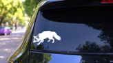 Cute Fox Sticker on a Rear Car Window (New) example