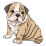 Cute French Bulldog Art Sticker