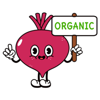 Cute Funny Organic Beet Vegetarian Sticker
