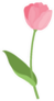 Cute Garden Tulip Flower Icon Sticker