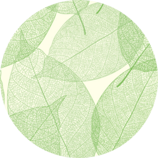 Cute Green Leaves Pattern Sticker