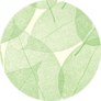 Cute Green Leaves Pattern Sticker