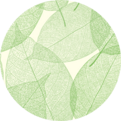 Cute Green Leaves Pattern Sticker