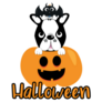 Cute Halloween Boston Terrier And Pumpkin Sticker