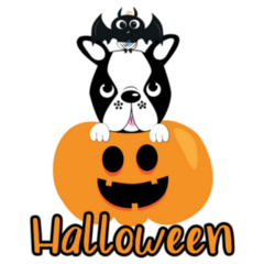 Cute Halloween Boston Terrier And Pumpkin Sticker