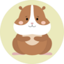 Cute Hamster On Green Background Sticker