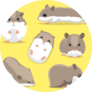 Cute Hamster Poses Cartoon On Yellow Sticker