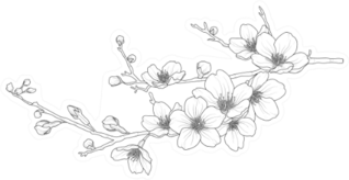 Cute Hand Drawn Isolated Sakura Branch Sticker