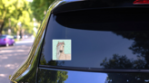 Cute Horse With Flowers Fairytale Background Sticker on a Rear Car Window (New) example