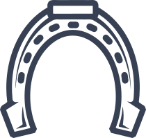 Cute Horseshoe Sticker