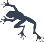 Cute Jumping Frog Toad Sticker