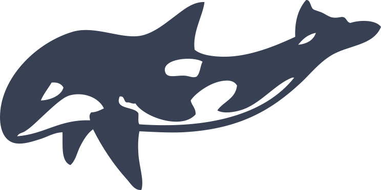 Cute Killer Whale Sticker