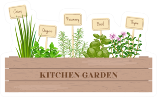 Cute Kitchen Garden Sticker