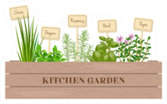 Cute Kitchen Garden Sticker