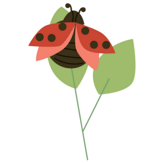 Cute Ladybug On Green Leaf Sticker