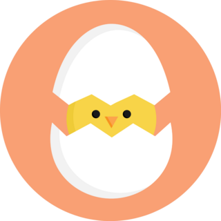 Cute Little Chick In Cracked Egg Colorful Sticker