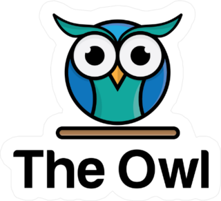 Cute Little Round Owl Sticker