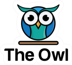 Cute Little Round Owl Sticker