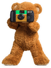 Cute Little Teddy Bear Photographer Sticker
